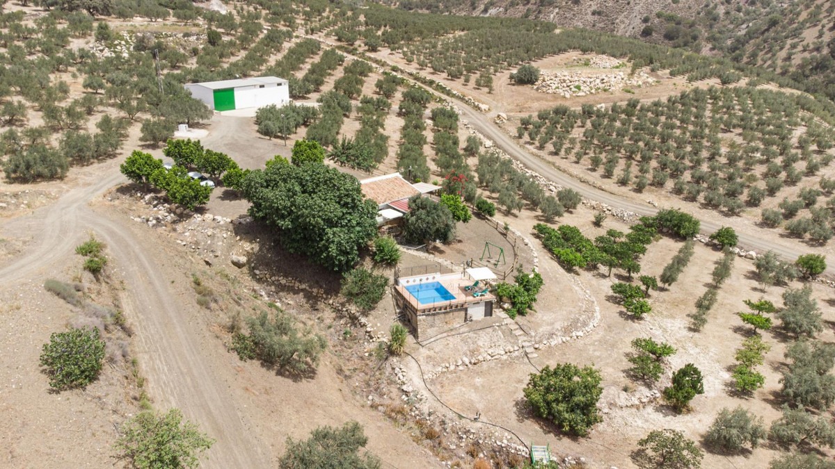Land in Colmenar — photo 1 of 50