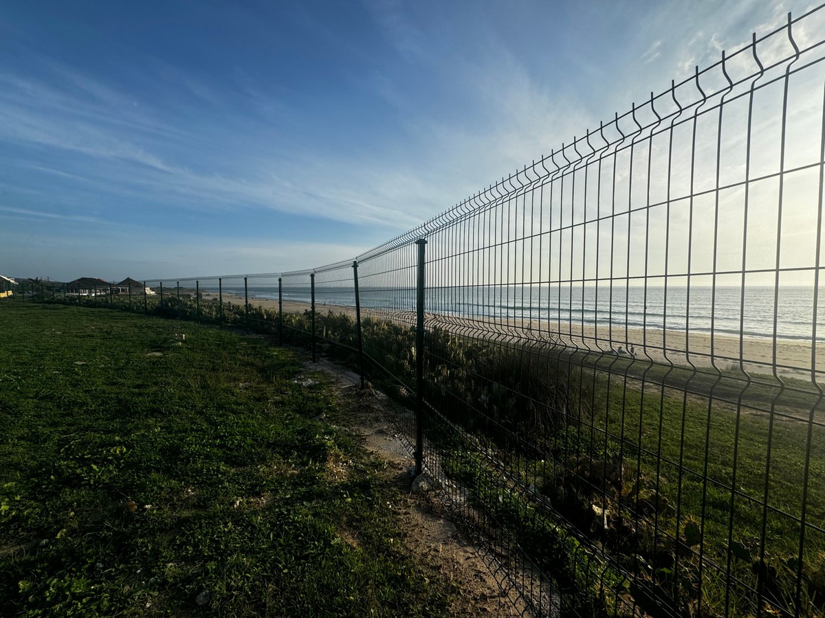 Land in Bolonia — photo 1 of 19