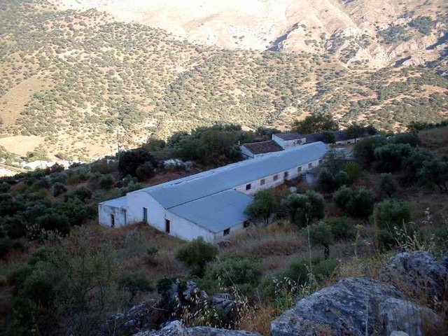 Olive Grove in Ronda — photo 1 of 9