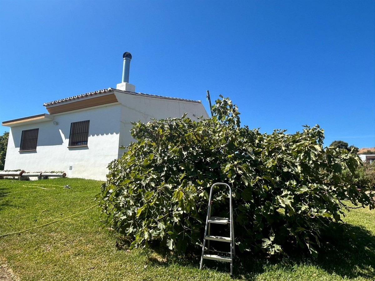 Finca - Cortijo in Estepona — photo 1 of 8