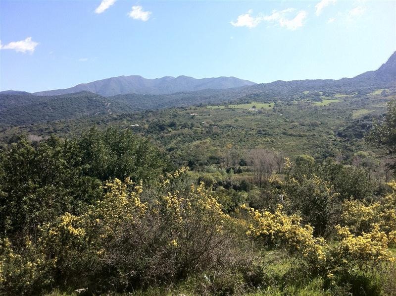 Land in Gaucín — photo 1 of 15
